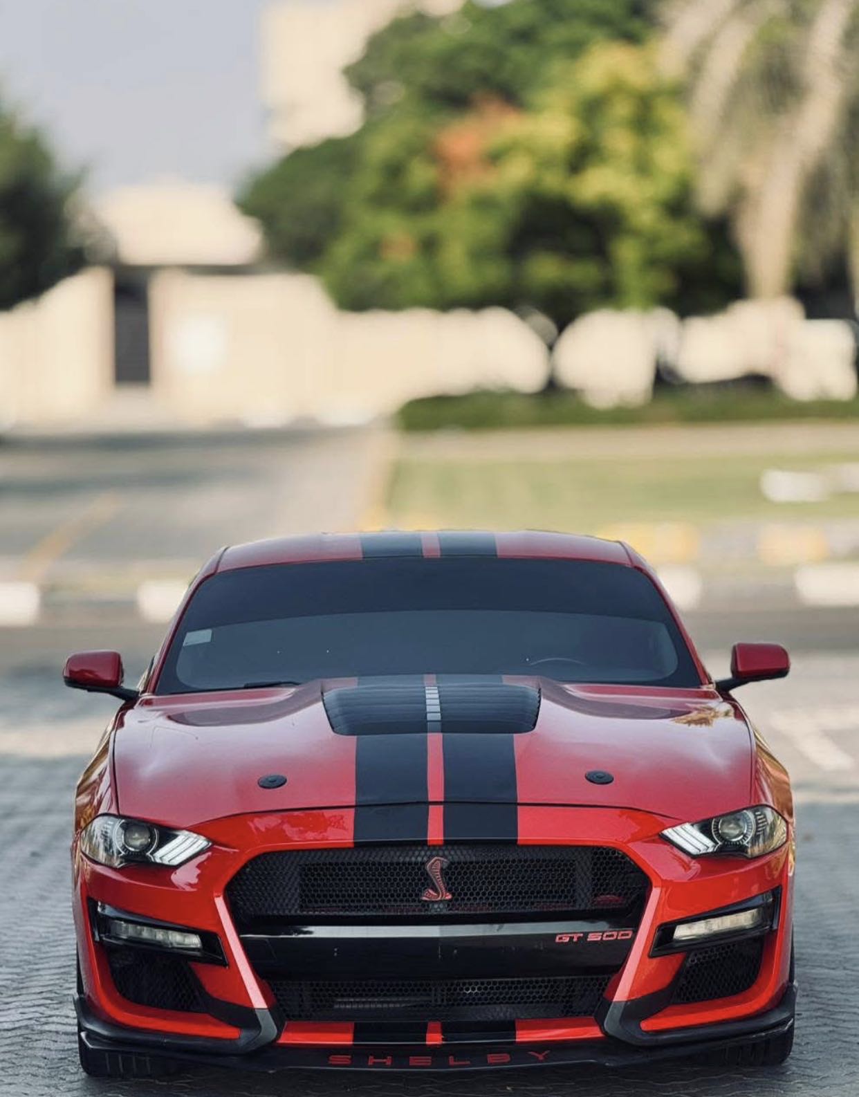 Ford Shelby gt500 mustang