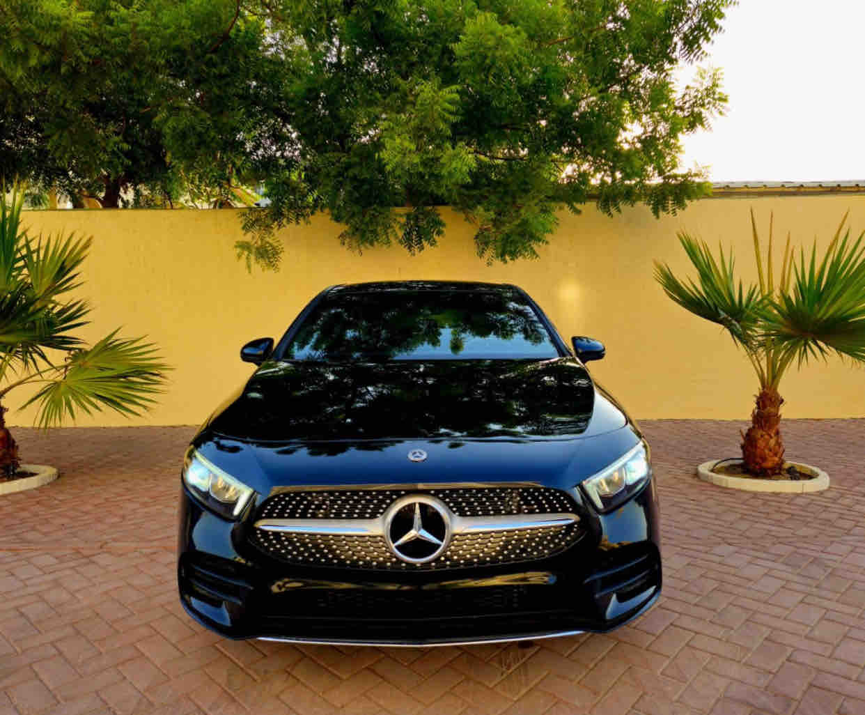 Mercedes-benz Other