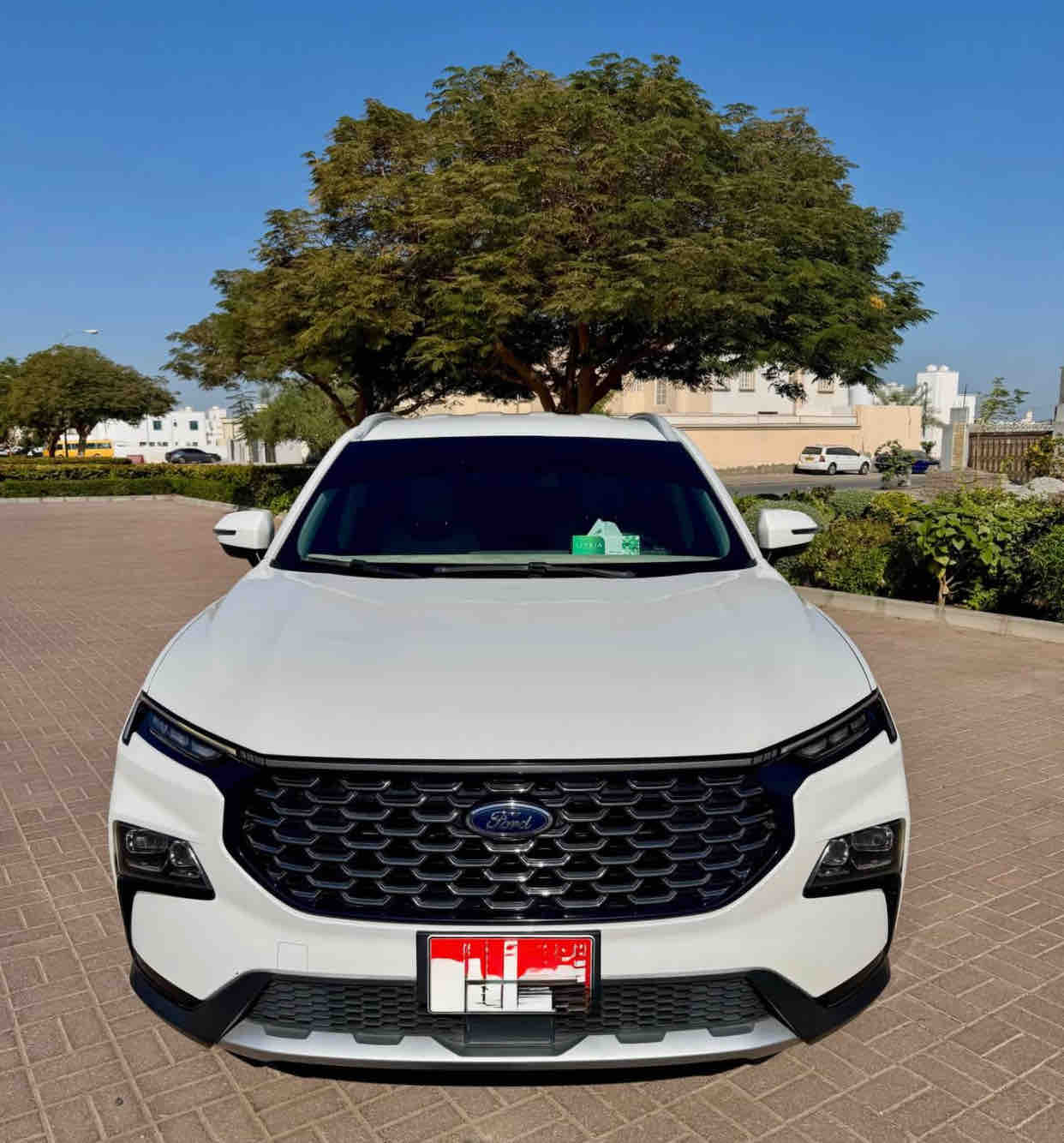 Ford Other model